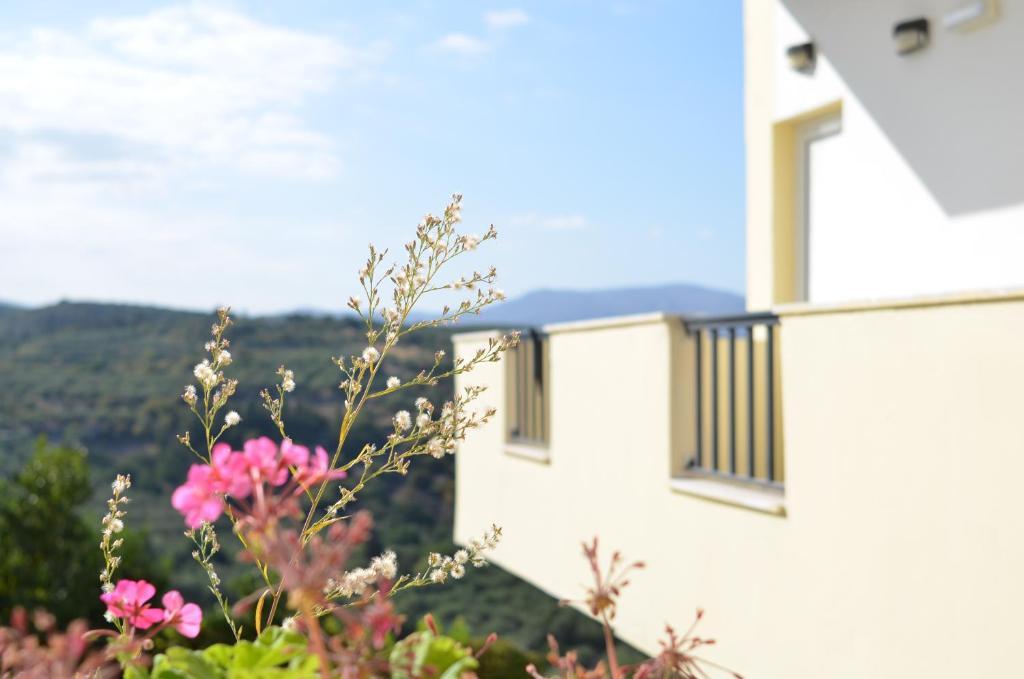 Kaloudis Apartments Almirida Buitenkant foto